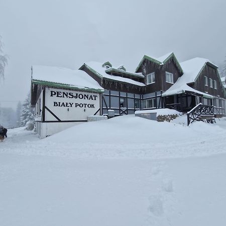 Bialy Potok Bed & Breakfast Zieleniec  Bagian luar foto