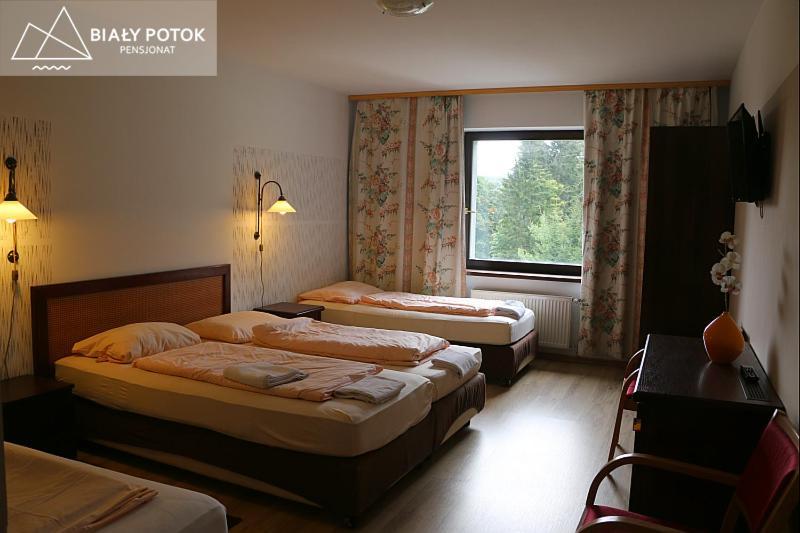 Bialy Potok Bed & Breakfast Zieleniec  Bagian luar foto